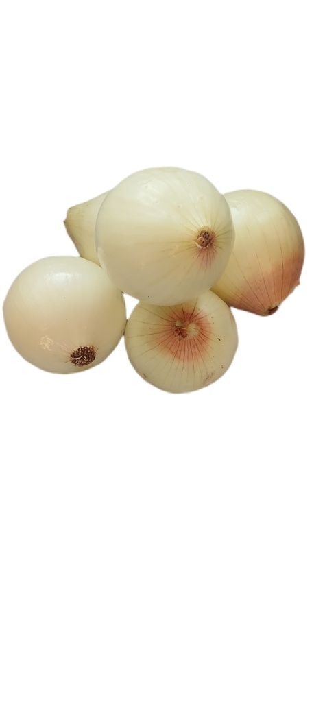 Cebolla blanca 1 kg